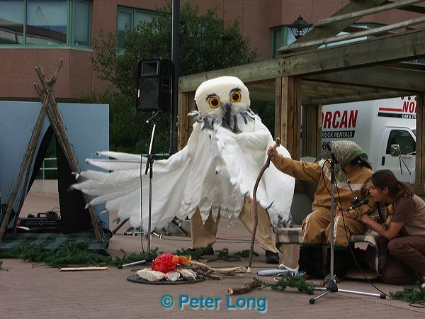 pict6581.jpg