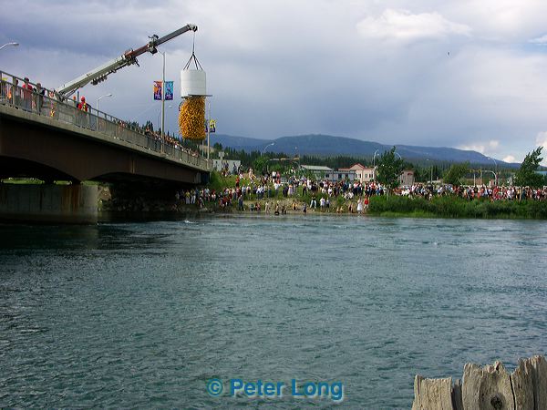 pict2658.jpg