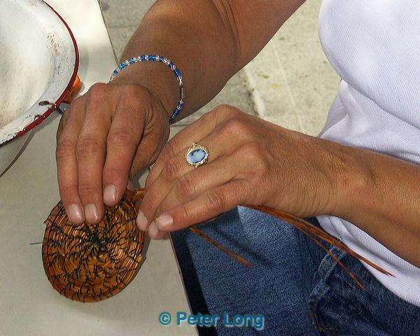 pict3747x.jpg