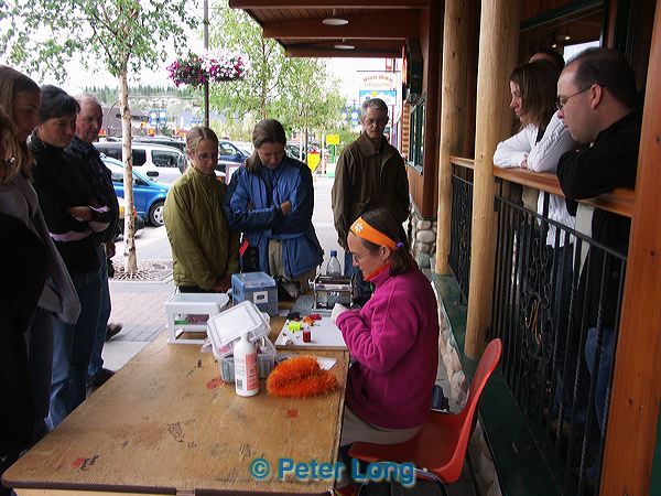 pict6784.jpg
